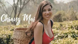 Chiang Mai - the best place we have visited in Thailand