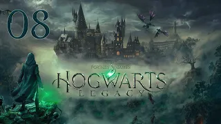 Первые полеты на метле Hogwarts Legacy (Хогвартс Наследие) [PC 2023] - полное прохождение #8