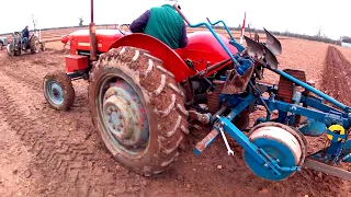 1958-1964 Massey Ferguson 65 3.3 Litre 4-Cyl Diesel Tractor (58HP) With Ransomes Plough