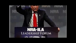 National Rifle Association: Trump will Recht auf Waffenbesitz verteidigen
