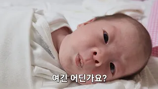 신생아 중환자실 퇴원하는 쌍둥이 아기 (생후 15일 쌍둥이)