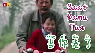 Dang Ni Lao Le 当你老了 Lagu Mandarin  Subtitle Indonesia - Lirik Terjemahan