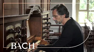 Bach - Pastorella in F major BWV 590 - Smits | Netherlands Bach Society