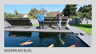 Modern Koi Blog #4865 - So gut kennt Lero das Wasser seines Neuteichs