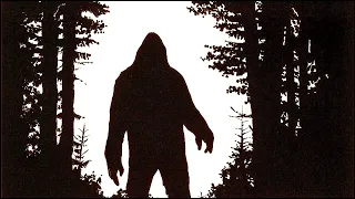 SASQUATCH: THE LEGEND OF BIGFOOT - 1976 CRYPTID CULT CLASSIC