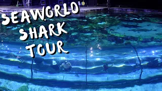 SeaWorld Orlando Shark Encounter behind the scenes tour! | Shark Week 2021