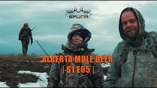 Alberta Mule Deer Trailer | S1E05 | SPOOR