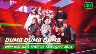 【Vietsub】Dumb Dumb Dumb - THE9 | Đêm hội Gào Thét Vì Yêu iQIYI 2021 | iQIYI Vietnam