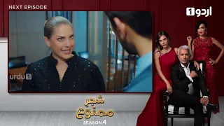 Shajar-e-Mamnu | Episode 281 Teaser |Turkish Drama| Forbidden Fruit | Urdu Dubbing | 5 January 2022