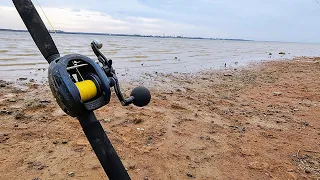 Bank Fishing a SHALLOW Mud Flat!! (They were hungry)