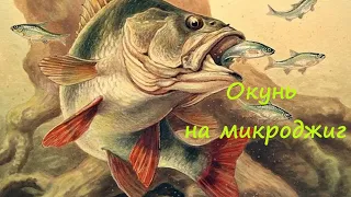 Рыбалка на кастинговый ультролайт. Микроджиг на окуня на карьере