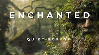 Enchanted Lands: An Ambient Journey for a Peaceful Home and Personal Relaxation