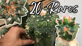 20 Cactus que nunca viste | TOUR CACTUS RAROS con nombres 🤩🌵