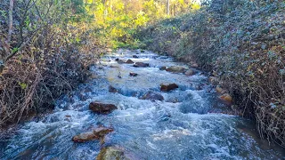 Trout fishing with lures in a small stream