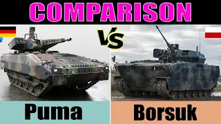 Borsuk vs Puma: comparison | Infantry fighting vehicle