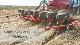 Horsch Maestro 8DV - качественный посев пропашных культур в мульчу и после «очёса».