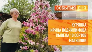 Курянка Ирина Подчилимова вывела 10 сортов магнолии