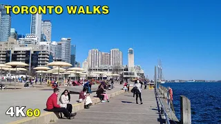 Downtown Toronto Waterfront SPRINGS to Life Walk (March 20, 2021)