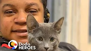 This Woman Has Saved Hundreds Of Thousands Of Cats | The Dodo Heroes