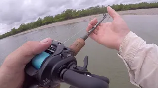 Darwin Harbour Barra during the build up!