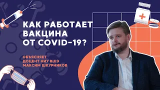 Как работает вакцина от COVID-19 // Объясняет доцент НИУ ВШЭ Максим Шкурников