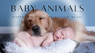 Cute Baby Animals with Soothing Piano Music | Happy Mood | Relaxation, Sleep, and Stress Release