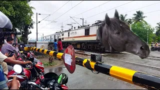 Dangerous MAD Horse JanShatabdi Express Train Dangerous Moving Throughout Railgate