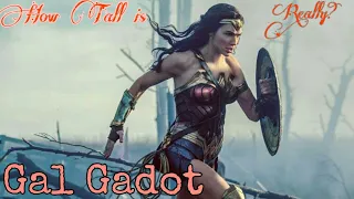 How Tall is Gal Gadot Really?