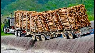 Most Dangerous Biggest Wood Logging Truck Cars Operator Skill Fails Crazy Drivers In Off Roads