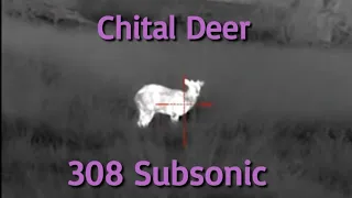 Subsonic 308 v deer. Pulsar Trail 2 XP50 LRF thermal scope. Hornady 190gr Sub-x.