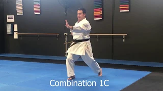 Shitoryu Shukokai Karate Combinations 1- 5C