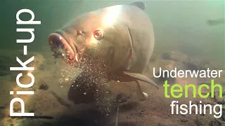 The pick up bait - Underwater tench fishing - Breamtime S5E3