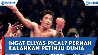 Ingat Ellyas Pical? Dulu Jadi Petinju Andalan Indonesia Pernah Kalahkan Petinju Dunia, Nasibnya Kini