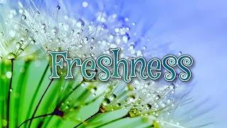 Freshness_Novael🎸 Copyright Free Music🎼