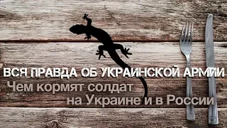 Андрей Ваджра. Вся правда об украинской армии: чем кормят солдат на Украине и в России (№ 21)