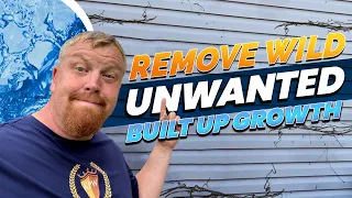 Remove Wild, Unwanted Built Up Growth (Vines) on your house with these easy to follow steps