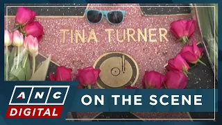 Supporters mourn passing of iconic superstar Tina Turner | ANC