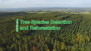 GENEration 08 – Tree Species Selection and Reforestation