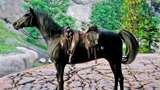 MI MEJOR AMIGO ES UN CABALLO | RED DEAD REDEMPTION 2