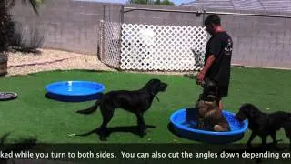 Dog Training - A very different way to practice circle turns