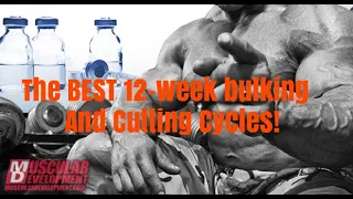 The BEST Bulking and Cutting Cycles! | Dr. Testosterone Ep. 27