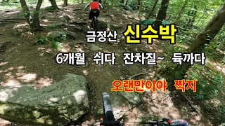 잔차안타고 뭐했노.신수박 고고