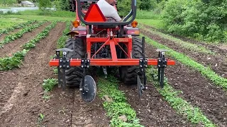 HILLING POTATOES | WHY? | The Benefits | Grow Your Own Food | Disc Hiller