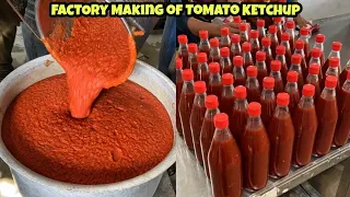 देखिए फैक्ट्री में कैसे बनता है Tomato Ketchup🍅🍅 Indian Street Food | Uttar Pradesh | Food Factory