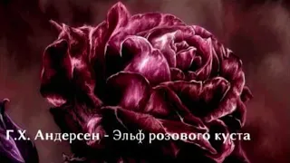 Эльф розового куста | Rose Bush Elf