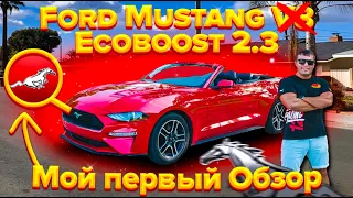 Лето, Флорида и красный Форд Мустанг кабриолет!  Лайт обзор и мысли вслух.  Ford Mustang Ecoboost.