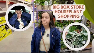 Houseplant shopping at my local big box stores- Home Depot, Lowes, and Walmart