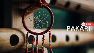 Pakari - Beautiful music from The Andes