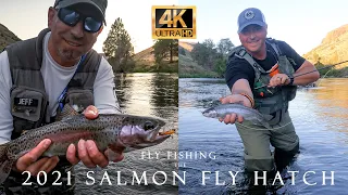 Fly Fishing the Deschutes River during the Salmon Fly Hatch 2021. Our most PRODUCTIVE day ever!!!