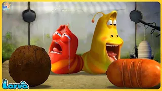 LARVA MOVIES 2024: TOP 50 EPISODE | FUNNY CLIP | THE BEST OF CARTOONS BOX |  CARTOONS FOR LIFE